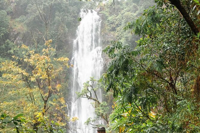 Day trip to Materuni waterfall, Coffee tour and Moshi Nightlife - Lunch included, plus how to handle the long day rhythm