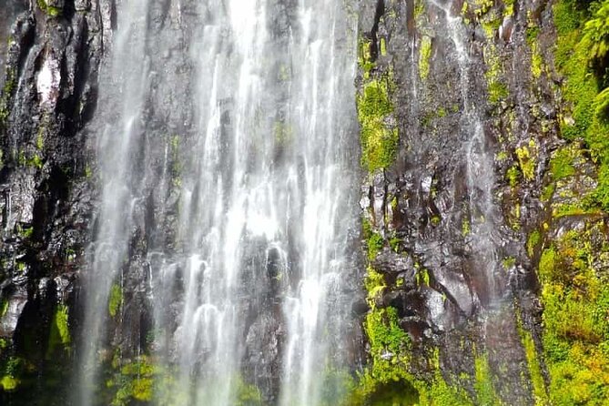 Day trip to Materuni waterfall, Coffee tour and Moshi Nightlife - Coffee farm tour: what you’re really learning about Tanzanian coffee