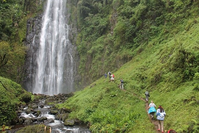 Day Trip To Materuni Waterfalls - Walking the plantations: fruit trees, flowers, and possible colobus monkeys