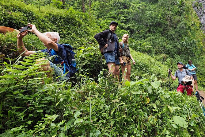 Day Trip To Materuni Waterfalls - Coffee plantations and the Chaga village show you can actually participate in
