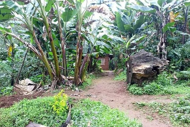 Day trip to materuni waterfalls and coffee tour - Finding the waterfall, then actually enjoying it