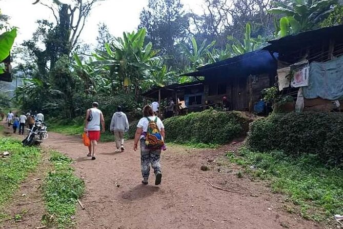 Day trip to materuni waterfalls and coffee tour - Coffee tour in Chagga country: from plants to the cup