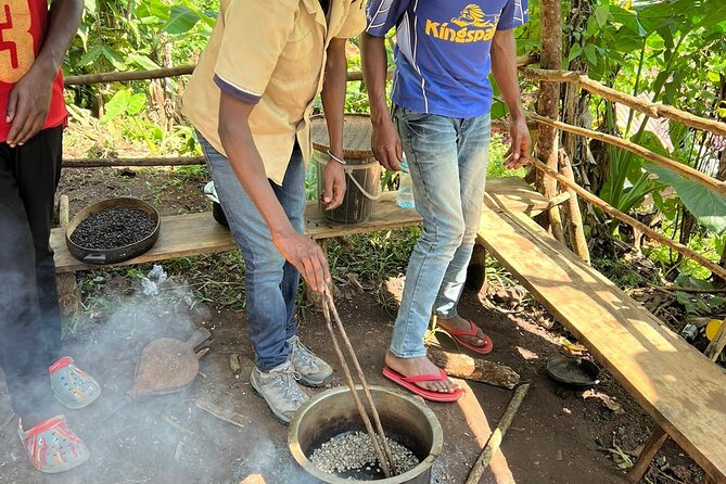 Day trip to materuni waterfalls and coffee tour - Price and value: $70 per person with private transport and lunch