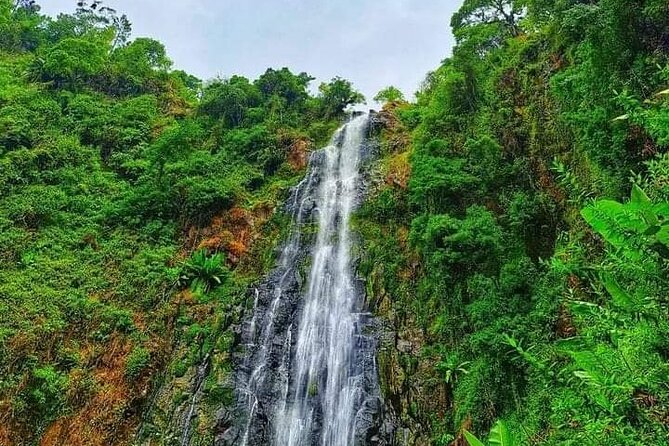 Day trip to materuni waterfalls and coffee tour - Who should book this Materuni waterfalls and coffee tour