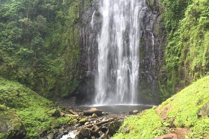 Day trip to materuni waterfalls and coffee tour - Picking up in Moshi: simple start, private group feel