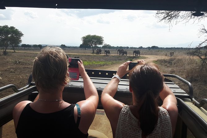 Day trip to Mikumi National Park from Dar es salaam - Key Points You’ll Care About