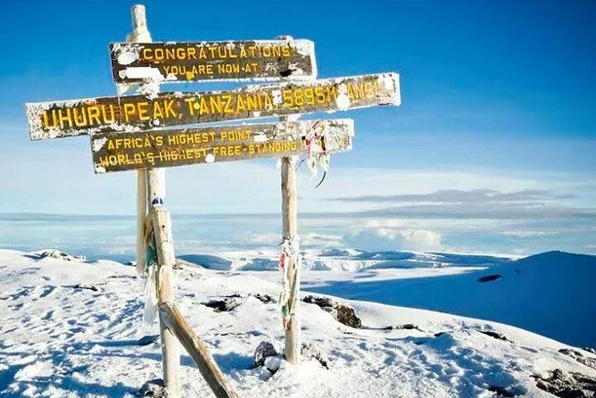 Day trip to mount Kilimanjaro - Mandara Hut Views: When Weather Helps and When It Doesn’t