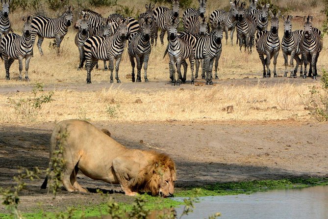 Day Trip to Ngorongoro Crater - Price and value: why $345 can work (or not)