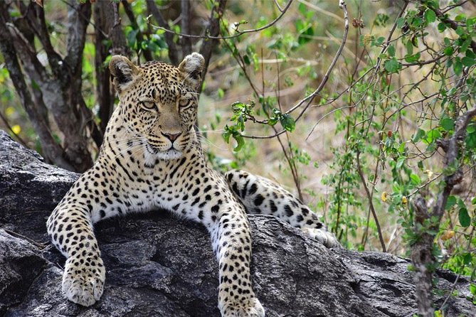 Day Trip to Ngorongoro Crater - Who this trip is perfect for