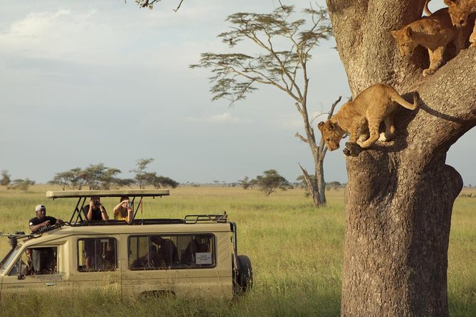 Day Trip to Ngorongoro Crater - Lake Magadi: the planned water stop and viewing mindset