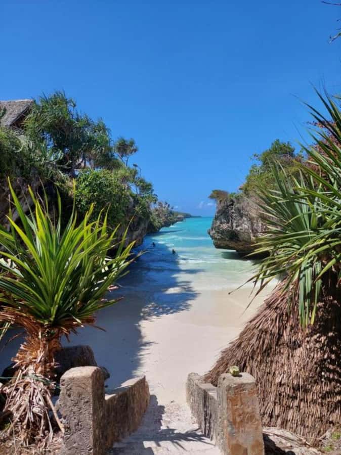Day trip to the Rock Restaurant & relax on mtende beach - Food, Seafood, Cocktails, and the Real Cost of Eating Oceanfront