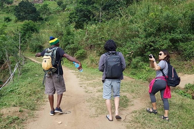 Day trip tour to Choma Waterfalls - Village time at Choma: Jikoni cooking, weaving, and pots