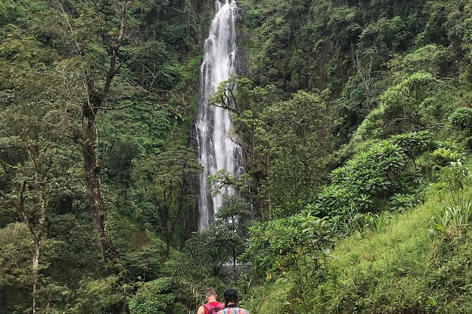 DayTour to Materuni Waterfalls with Coffee & Hotsprings Excursion - Key points to know before you go