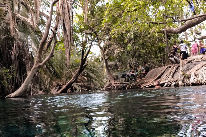 DayTour to Materuni Waterfalls with Coffee & Hotsprings Excursion - Coffee in Materuni: why it is more than a drink