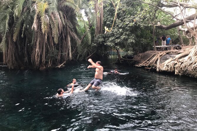 DayTour to Materuni Waterfalls with Coffee & Hotsprings Excursion - Kilimanjaro views on clear days: how to think about this
