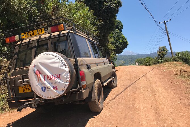 DayTour to Materuni Waterfalls with Coffee & Hotsprings Excursion - Price and value: what $150 buys you in real terms