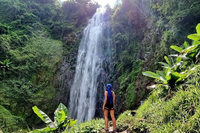 Discover Nature and Culture of Materuni Waterfall & Coffee Tour - Key reasons this tour is worth your time
