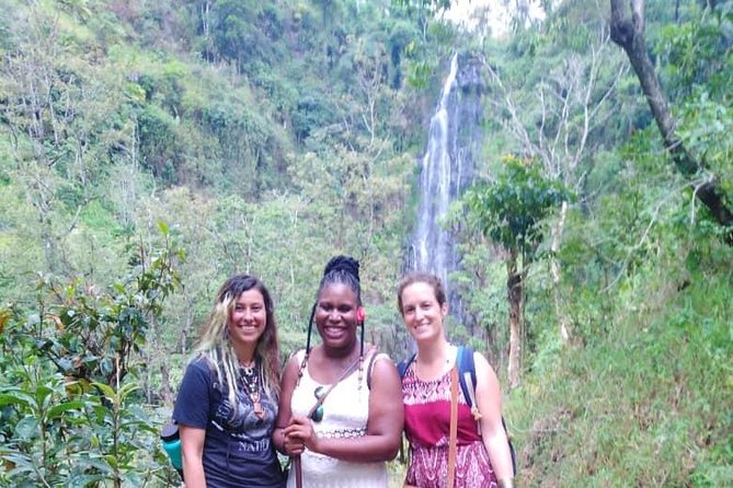 Discover Nature and Culture of Materuni Waterfall & Coffee Tour - The 70 to 80 meter Materuni Waterfall, photos and a real swim