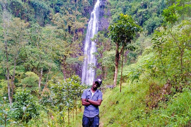 Discover Nature and Culture of Materuni Waterfall & Coffee Tour - Coffee farm, bean to cup with organic Arabica