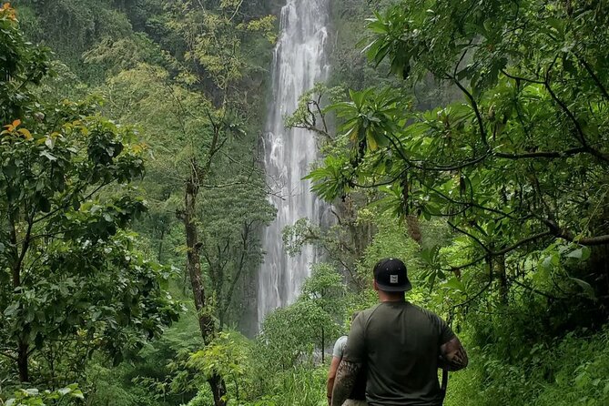 Discover Nature and Culture of Materuni Waterfall & Coffee Tour - Your day in the Kilimanjaro foothills, from hike to coffee farm