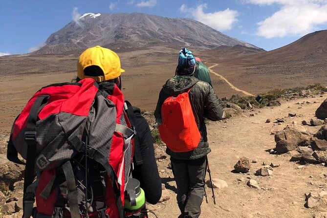 Discover Our Latest 6 Days Climbing Kilimanjaro - Marangu Route - Day 2: Mandara to Horombo Huts, Rainforest to High-Meadow Views