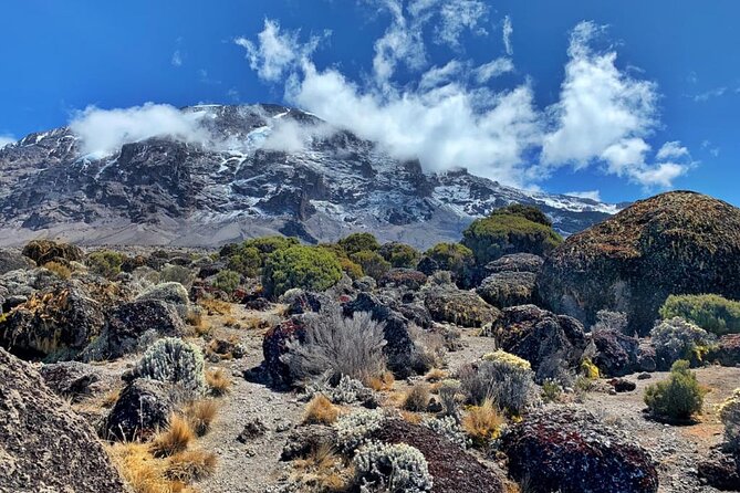 Discover Our Latest 6 Days Climbing Kilimanjaro - Marangu Route - Day 4: Horombo to Kibo Hut, Stony Ground and the Saddle Approach