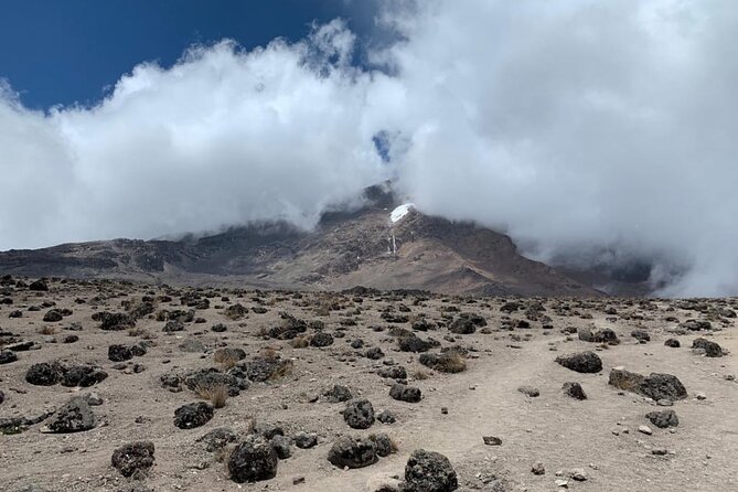 Discover Our Latest 6 Days Climbing Kilimanjaro - Marangu Route - Day 6: Descent Back to Moshi, Faster Steps Through Mandara and Rainforest