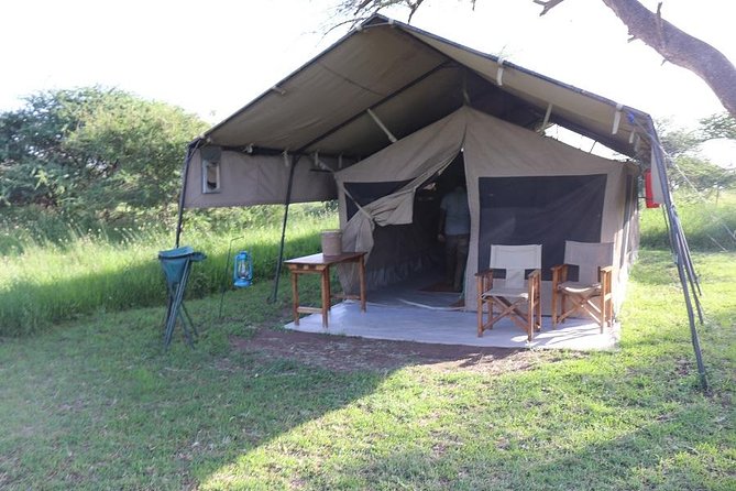 Discover Tanzania through the 3 wild classics - Serengeti finale days: more time for real wildlife viewing