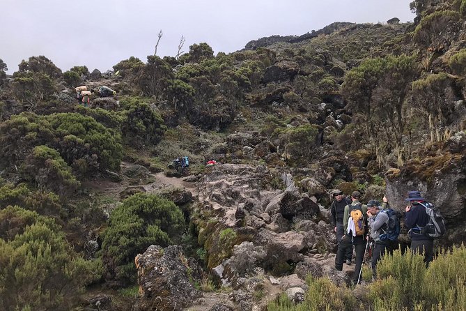 Discover The Best 7-day Kilimanjaro climbing via Machame route - Day 1: Machame Gate to Machame Camp through rainforest and slippery mud