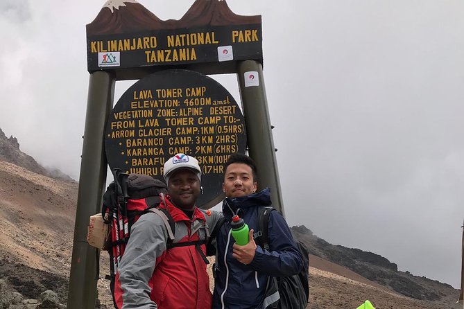 Discover The Best 7-day Kilimanjaro climbing via Machame route - Day 2: Machame Camp to Shira Cave Camp and the moorland shift