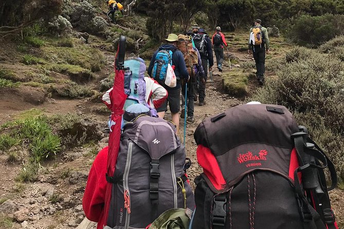Discover The Best 7-day Kilimanjaro climbing via Machame route - Day 4: Barranco Camp to Karanga Camp, with Heim Glacier views nearby