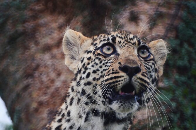 Discover the group joining for 5-day Tanzania safari in 2025 - Day 5: Lake Manyara National Park and the drive back to Arusha