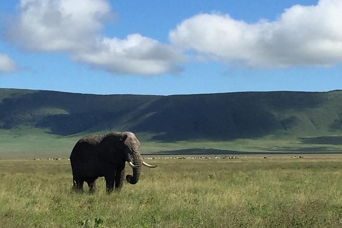 Discover The World's Top Best 4-day Tanzania Group Camping safari - Starting in Arusha: why a group safari helps more than you think