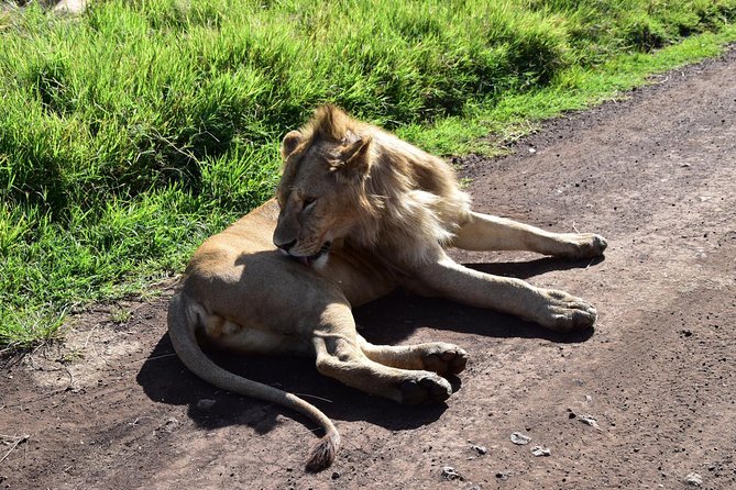 Discover The World's Top Best 4-day Tanzania Group Camping safari - Camping-style comfort: what you are trading for value