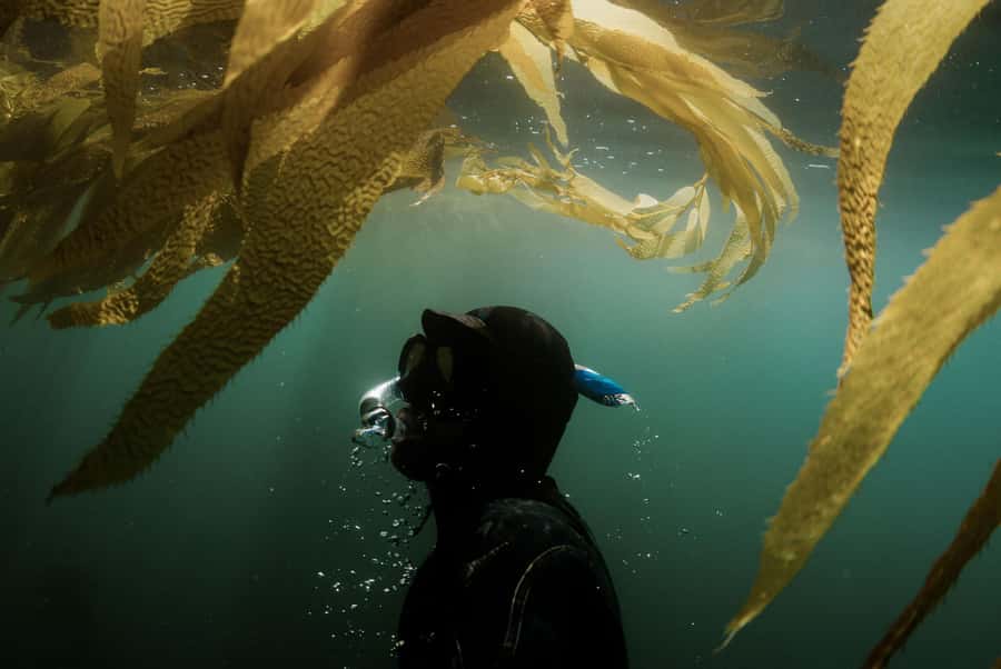 Discover Tumbatu Island: Private Snorkeling Adventure - How “Private” Works in a 3 Hour Trip
