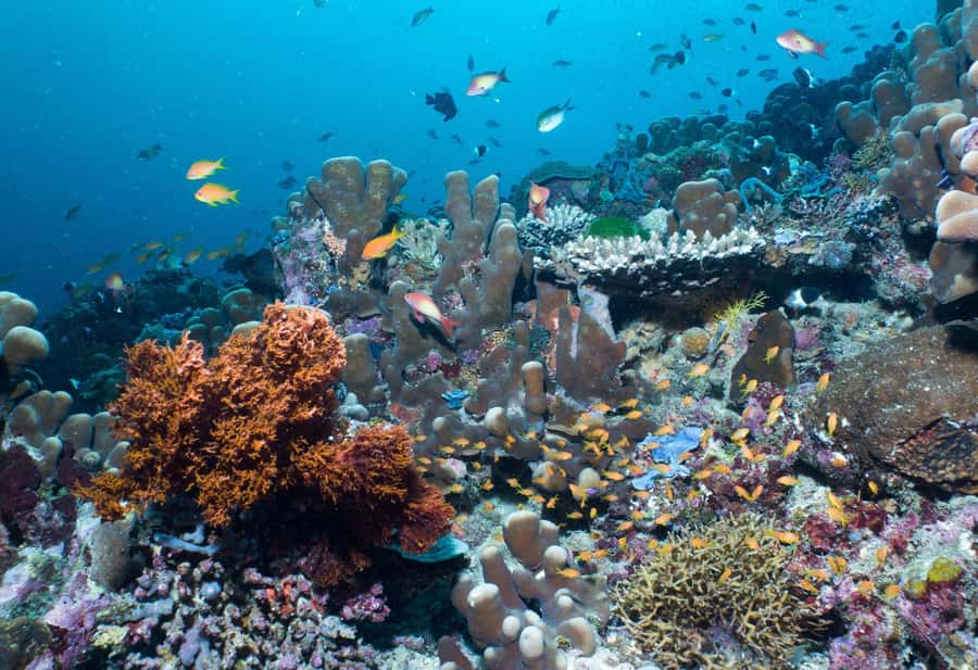 Discover Tumbatu Island: Private Snorkeling Adventure - Who This Tour Fits Best