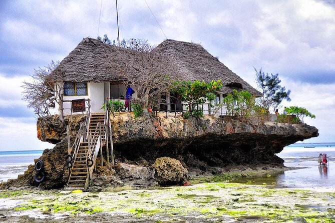 Dolphin tour, Jozani Forest, Jambiani Kuza Cave, Paje Beach &The Rock restaurent - Jozani Forest Park: red colobus plus mangrove magic