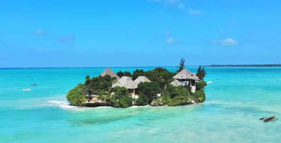 Dolphin Tour, Jozani Forest, Prison Island, Island Pongwe - Price and value: what $150 really buys you