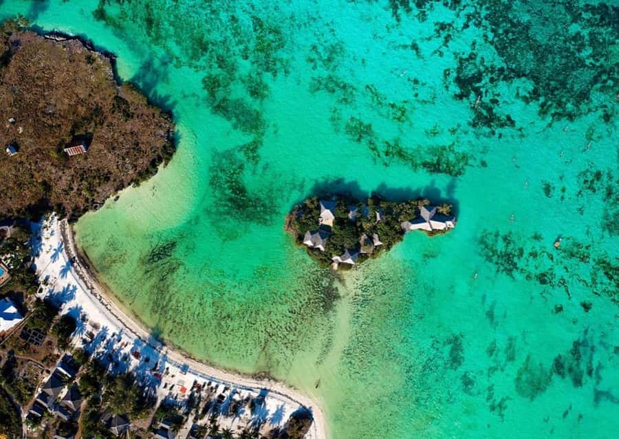 Dolphin Tour, Jozani Forest, Prison Island, Island Pongwe - The guide experience, including Ali’s example of good service