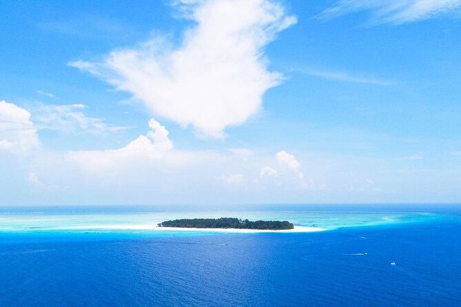 Dolphin Tour, Jozani Forest Tour, Kuza Cave Tour, Paje Beach,The Rock Restaurant - One-Day Zanzibar Highlights, with Enough Variety to Keep It Interesting