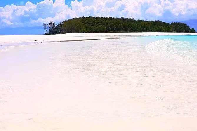 Dolphin Tour, Jozani Forest Tour, Kuza Cave Tour, Paje Beach,The Rock Restaurant - Paje Beach: Sand, Shallow Water, and Time to Slow Down