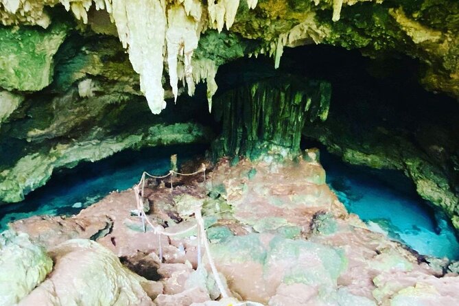 Dolphin Tour; Kuza Cave Tour; Paje Beach; The Rock Restaurant; Jozani Forest - Jozani Chwaka Bay: mangroves and red colobus timing