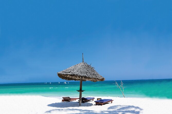 Dolphin Tour; Kuza Cave Tour; Paje Beach; The Rock Restaurant; Jozani Forest - Price and logistics: what you are really paying for