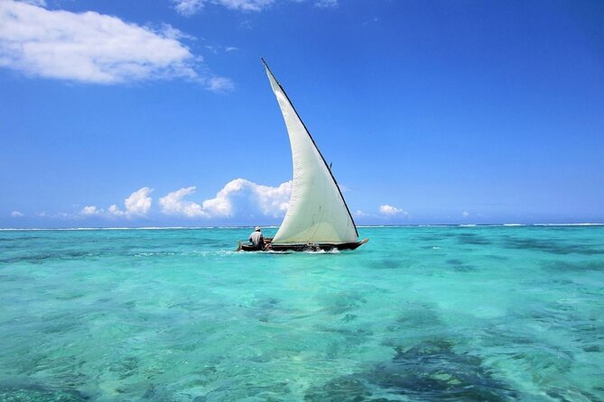 Dolphin Tour & Snorkeling at Mnemba Island - Weather is the real deciding factor