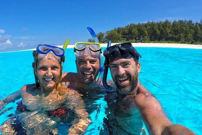 Dolphin Tour & Snorkeling at Mnemba Island - Snorkeling Mnemba Reef: fishy, not just pretty