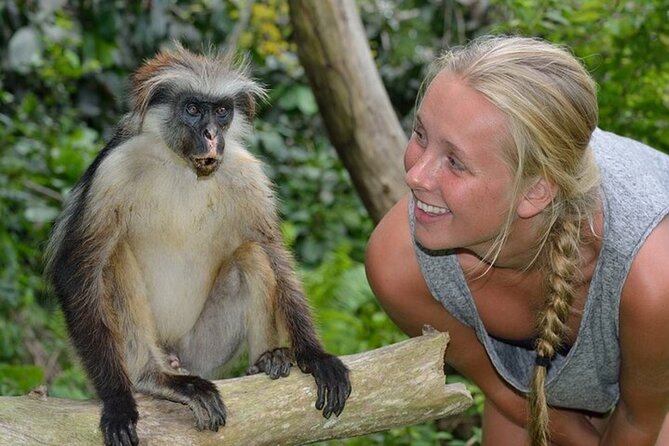 Dolphin Watching Tour & Josani Forest Sea Trip - Zanzibar - Dolphins in the morning, and Jozani Forest after
