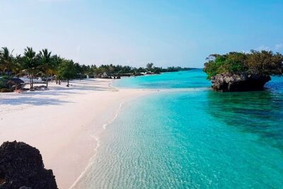 Dolphin Watching Tour & Josani Forest Sea Trip – Zanzibar