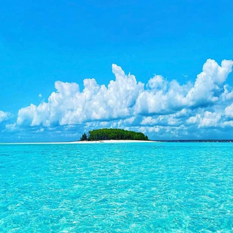 Dolphins & Snorkeling Zanzibar: Mnemba Island Tour - Key Things You’ll Notice on the Mnemba Tour