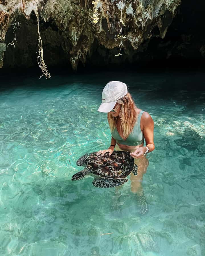 Dolphins tour + mnemba island snorkeling + salaam turles - From Your Hotel to the Dolphin Boat: Timing That Actually Matters