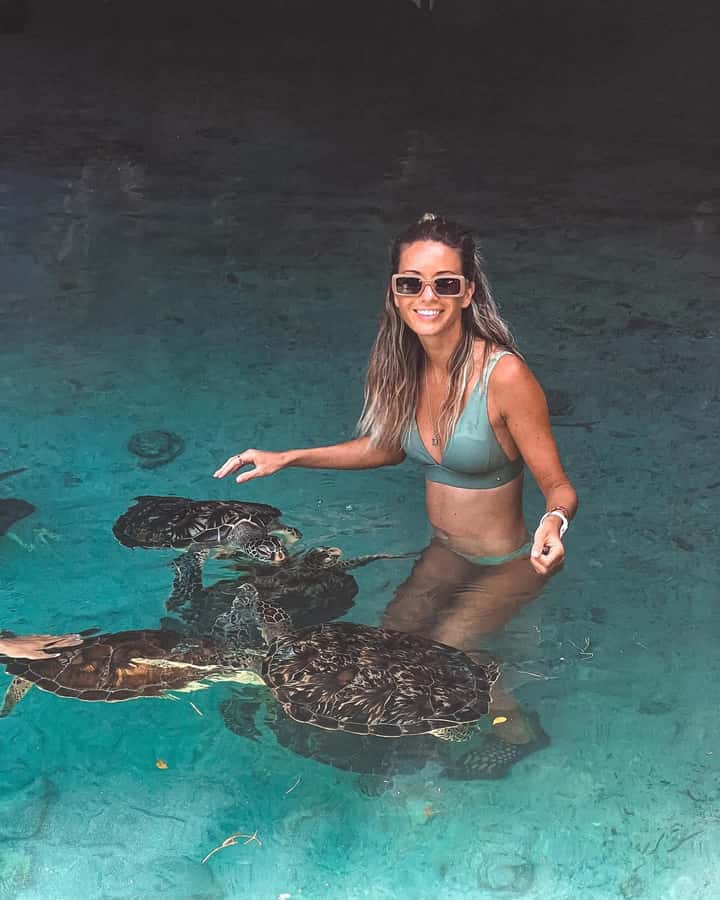 Dolphins tour + mnemba island snorkeling + salaam turles - Mnemba Atoll Marine Park Snorkeling: Where the Best Water Shows Up